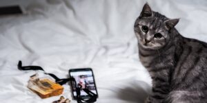 Read more about the article My Five Favourite Apps