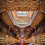 brown wooden book shelves with books